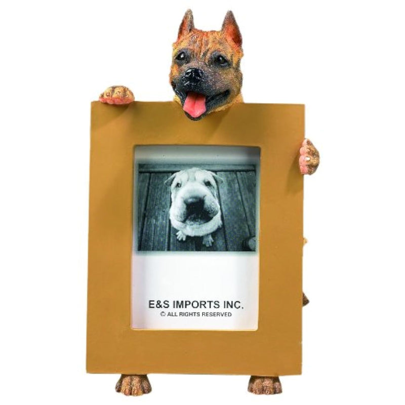 Pit Bull, Cropped Picture Frame Holds Your Favorite 2.5 By 3.5 Inch Photo, Han