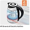 Electric Kettle with Temperature Control, 5 Presets LED Indicator Lights, Removable Tea Infuser, Glass Tea Kettle & Hot Water Boiler, 360° Swivel Base, BPA Free, Stainless Steel, 1.8 Liters