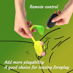 Remote Control Wearable Vibrator for Women, 10 Vibration Modes, G-Spot & Clitoral Stimulator