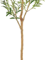 Faux Olive Tree 6ft，Olive Trees Artificial Indoor with Natural Wood Trunk and Realistic Leaves and Fruits. 6 Feet(72in) Fake Olive Tree for Home House Office Décor.