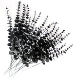 Black Artificial Eucalyptus Stem Bulk Halloween Faux Eucalyptuses Wedding Bouquet Centerpiece Home Decor (65, Black)