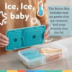 Insulated Bento Box Lunchbox, Girl