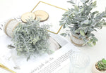 4 Packs Small Fake Plants Indoor Mini Artificial Plants for Home Office Farmhouse Bathroom Bedroom Kitchen Desk Decor…