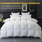 Goose Feather Down Comforter Queen Size - White Down Duvet Insert - Luxurious Fluffy Hotel Style Bedding Comforter - 100% Cotton Cover All Season - Queen Size (90x90 Inch)