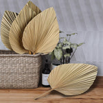 Dried Palm Leaves 4 Pieces 18.1’’ Natural Dried Palm Spears Large Dried Palm Fans Dried Flower Bouquet for Boho Wedding Home Party Kitchen Vase Farmhouse Table Arrangements Anniversary Decor