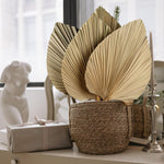 Dried Palm Leaves 4 Pieces 18.1’’ Natural Dried Palm Spears Large Dried Palm Fans Dried Flower Bouquet for Boho Wedding Home Party Kitchen Vase Farmhouse Table Arrangements Anniversary Decor