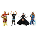 WWE Then. Now. Forever. Together. Action Figure Set  - 4pk