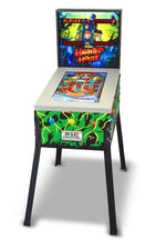 Toyshock Haunted House 3D Digital Pinball Machine 12 In 1 Games