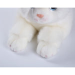 Cute Cat Plushie Stuffed Toy