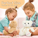 Stuffed Teddy Bears Baby Shower for Girl & Boy