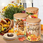 Holiday Decorations 3 Pack Glass Storage Jars with Lid