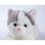 Cute Cat Plushie Stuffed Toy