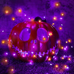 33ft Solar 100LED Orange Purple Halloween Fairy Lights Waterproof