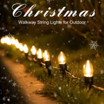 Multicolor Walkway String Lights With Stakes